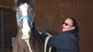 Veterans build resiliency through equine assisted therapy