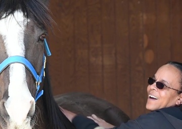 Veterans build resiliency through equine assisted therapy