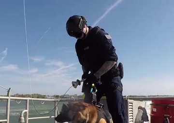 Coast Guard Canine Explosive Detection Team: Hoist Training