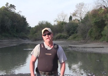 Delta Stream