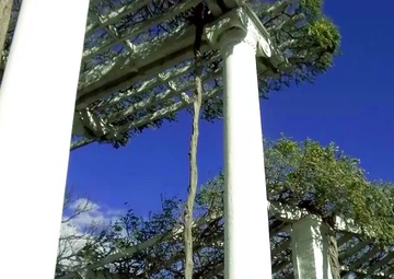 Restoration of Tanner Amphitheater in ANC