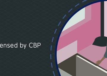 CBP Import Process