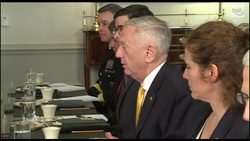 Mattis Welcomes Slovenian Defense Minister to the Pentagon