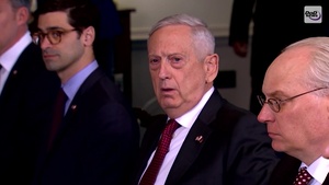 Mattis Addresses Syrian Chemical Attacks
