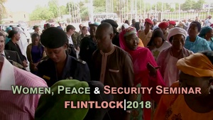 Women, Peace and Security Seminar (social media)
