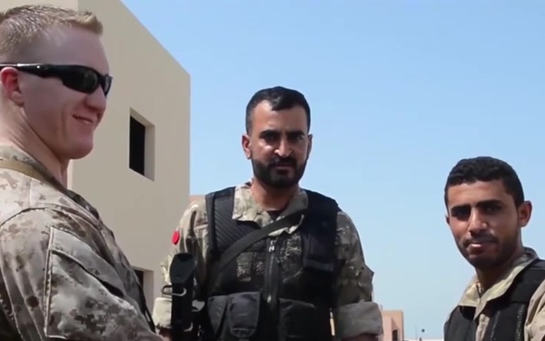 Naval Amphibious Force, Task Force 51/5th Marine Expeditionary Brigade