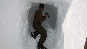 Winter Warfare Training: snow caves