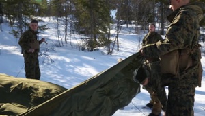 Winter Warfare Training: tent assembly