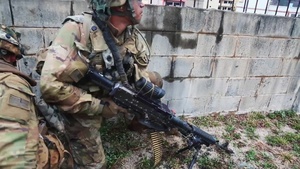 Force on Force Exercise