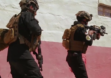 Counter-terrorism Training