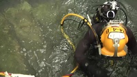 Divers Train To Standard At KNB