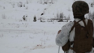 Winter Warfare Training: Live fire prep & working interview