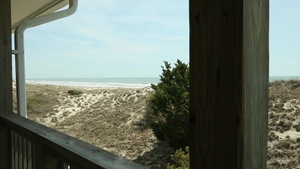 Earth Day Sea Oats
