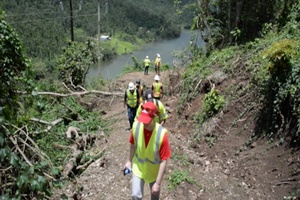Environmental Compliance Improves Post-Disaster Restoration in Puerto Rico