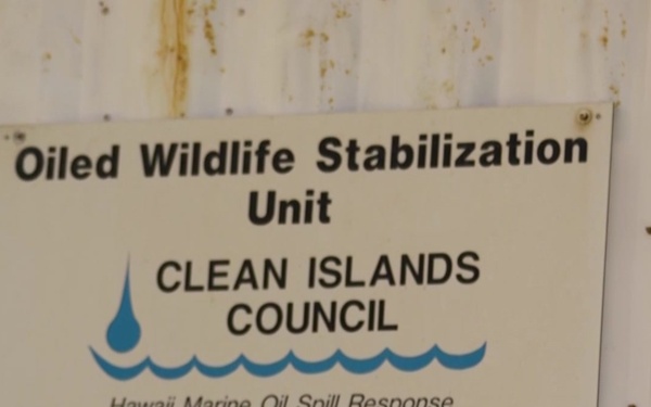 Hanini Response Exercise