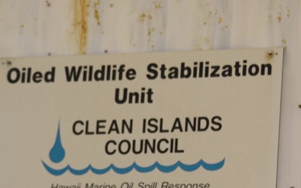 Hanini Response Exercise