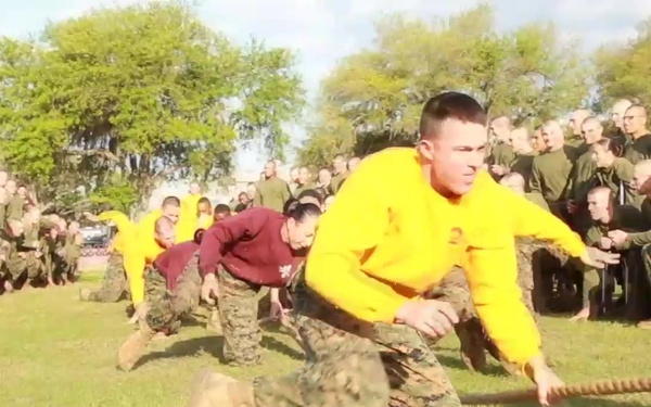 Fox and Oscar field meet