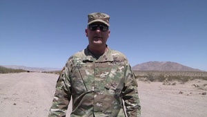 Desert Tortoise