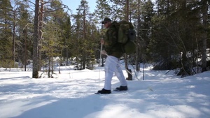 Norwegian Winter Warfare Exercise: Cross Country Skiing