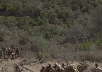 The Crucible - Basilone's Challenge