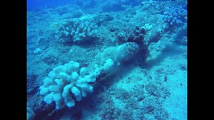 7th Dive underwater footage