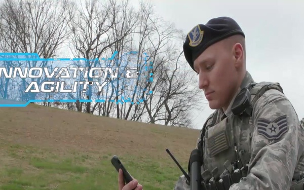 ANG Director's 2018 Lines of Effort