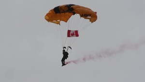 U.S. Army Golden Knight