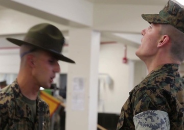 The Transformation - Week 3