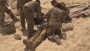 Exercise Pilot Down