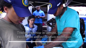 PP18 Mil to Mil Canine Sterilization