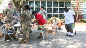 Joint military operation brings veterinary support to Savannah