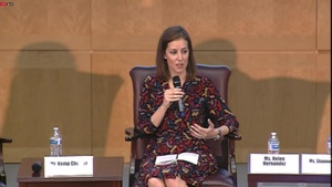 U.S. Domestic Efforts Against Illicit Opioids Panel