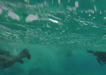 The Transformation - Week 4