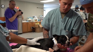 Vets care for pets during Operation Empower Health