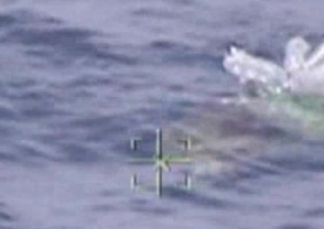 Coast Guard crew rescues sea turtles