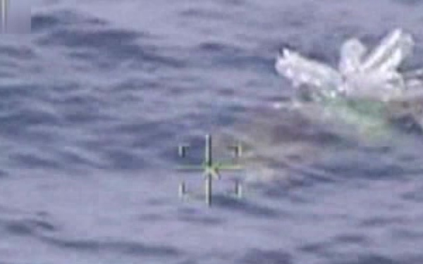 Coast Guard crew rescues sea turtles
