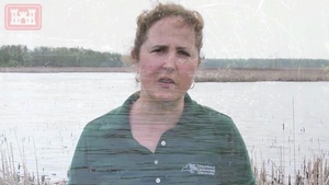 Braddock Bay Ecosystem Restoration Project