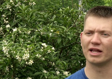 MCAS Iwakuni Service Members Help Clean Special Needs Home for Children (Package/Pkg)