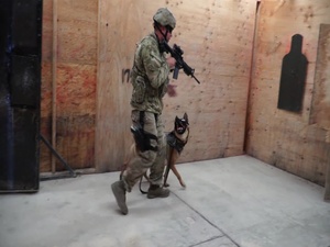 MWD B-Roll