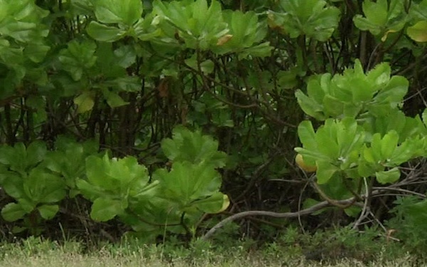 37 Mile Tip to Tip Bike Ride