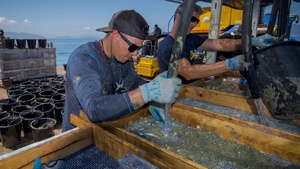 For Army divers, excavating underwater tombs is a solemn, honorable duty