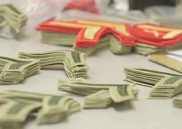 The Transformation - Week 5