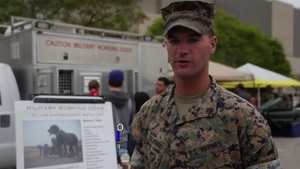 City of Torrance Armed Forces Day Parade and Celebration
