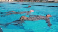 Swim Qualification