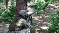 Section live-fire training