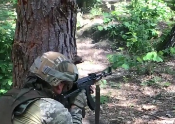 Section live-fire training