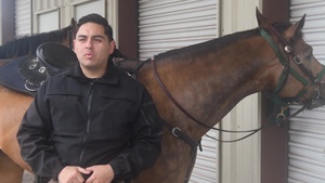 The only Working Horse Program in the U.S. Air Force