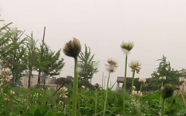 AFN Kunsan B-Roll - Warrior Challenge