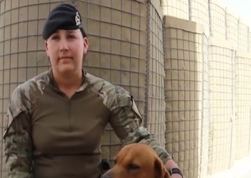 Welsh Secretary Alun Cairns visits Welsh Guards in Afghanistan