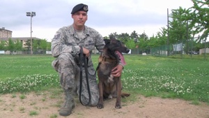 AFN Kunsan TV Raw - MWD